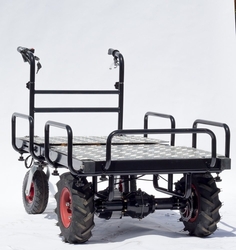 Cargo Bee E-plošina