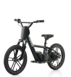 Push Maxi 16 Pro 