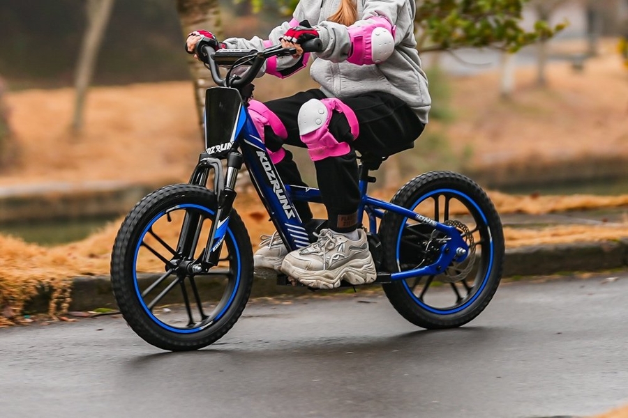 Push Maxi 16 Pro 